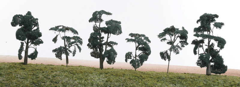 ForeGround(TM) Tree pkg(6) -- Cedar Safari