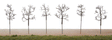 Maple Sugar Bush Tree Set w/Details - Kit