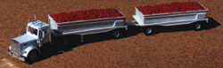 American Trucks - Tractor/Trailer - Peterbilt 2-Axle Conventional (No Sleeper) -- w/Double Flatbed Trailer & Tomato Tub Loads TVT Trucking