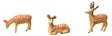 Deer -- pkg(3)