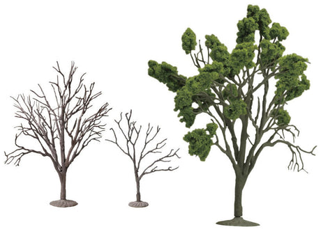 Ornamental Bonsai Tree