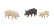 Pigs -- pkg(3)