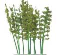 Bamboo Kit -- 3-1/8"  8cm Tall pkg(12)
