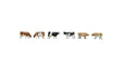 Farm Cows -- pkg(6)