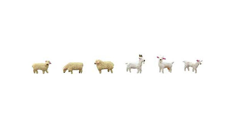 3 Sheep and 3 Goats