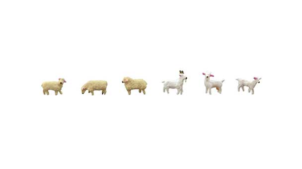 3 Sheep and 3 Goats