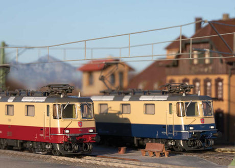 Class Re 421 Electric 2-Pack - Sound and DCC -- TR Trains Rail #421 393-0, 421 387-2 (Era VI 2020, 1 Rheingold Scheme & 1 TE-2