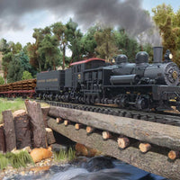 Class D 4-Truck Shay - Sound, Smoke and DCC -- Western Maryland #5 (1940s, black, graphite, Tuscan)