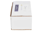 DV201 Lamplighter 2 for Fiber Lighting Systems-4