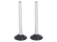 DVSL304 Fiber-Lit Rafter Suspended Lamps -- pkg(2)-1