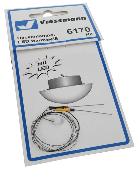 Ceiling Lamp w/LED
