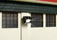 Wall Mount Floodlight -- With LEDs-1
