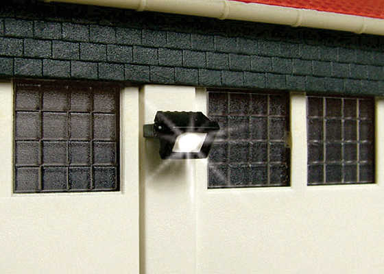 Wall Mount Floodlight -- With LEDs-1