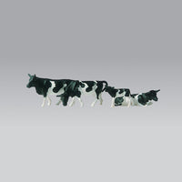 Farm Animals -- Cows