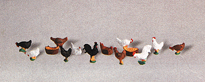 Animals -- Chickens