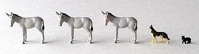Animals -- Donkeys, Dog & Cat