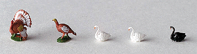 Animals -- Swans & Turkeys