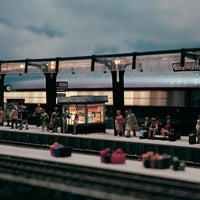 Passenger Platform -- 24"
