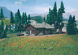 Alpine Lodge