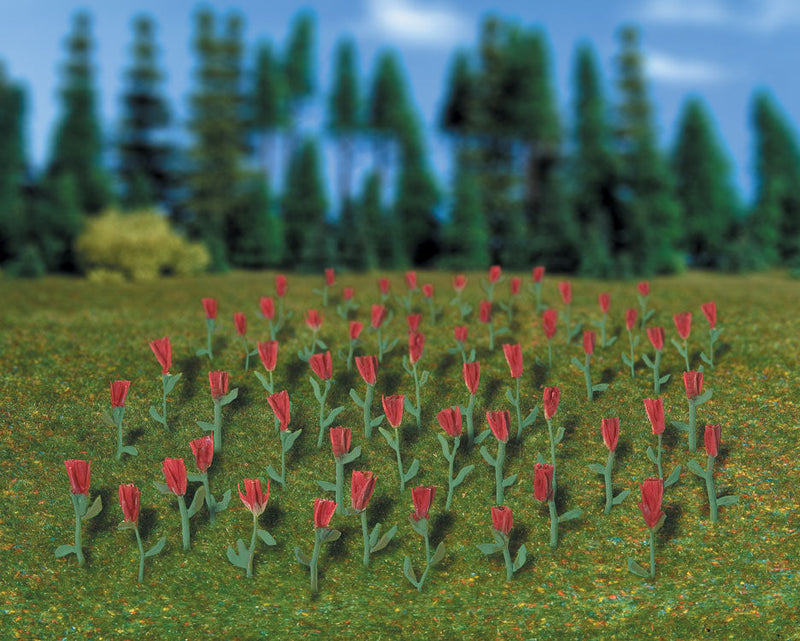 Flowers - Tulips -- Red pkg(120)