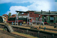 Engine Cleaning Plant -- 4-7/8 x 1-3/16"   12.5 x 3.2cm