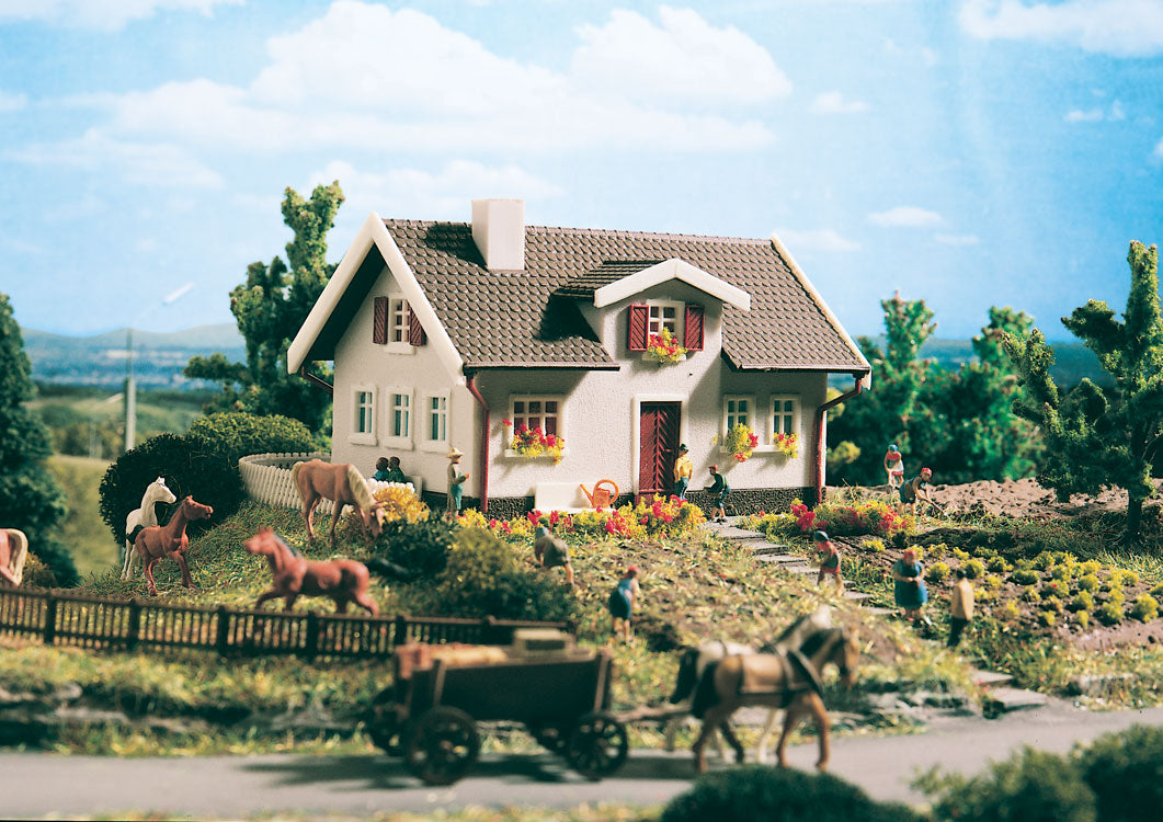 Modern house kit