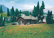 Alpine Lodge -- 2 x 2-11/16" 5 x 6.8cm
