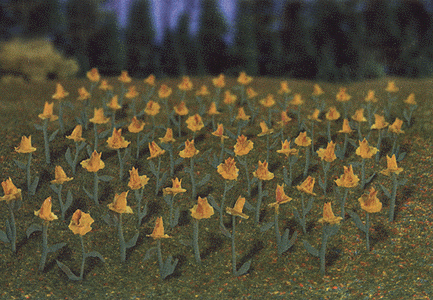 Flowers - Daffodils -- Yellow pkg(120)