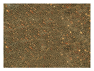 Ground Cover -- Coal
