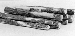 Logs                  12/