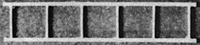 Reefer ladders 5&6 rng 5/