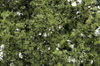 Shrubs & Saplings -- Medium Green 60 Cubic Inches