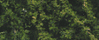 Fine Leaf Foliage(TM) - 75 Cu. In.  1.2 Cu. m. -- Dark Green-1