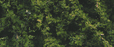 Fine Leaf Foliage(TM) - 75 Cu. In.  1.2 Cu. m. -- Dark Green-1