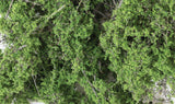 Fine Leaf Foliage(TM) - 75 Cu. In.  1.2 Cu. m. -- Medium Green-2