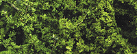 Fine Leaf Foliage(TM) - 75 Cu. In.  1.2 Cu. m. -- Medium Green-1