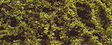 Fine Leaf Foliage(TM) - 75 Cu. In.  1.2 Cu. m. -- Olive Green-1