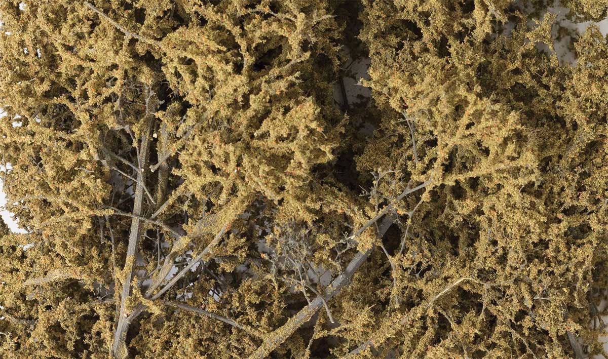 Fine Leaf Foliage(TM) - 75 Cu. In.  1.2 Cu. m. -- Dead-2