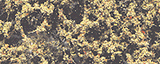 Fine Leaf Foliage(TM) - 75 Cu. In.  1.2 Cu. m. -- Dead-1