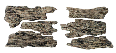 Shelf Rocks - Ready Rocks -- 4 Pieces-1