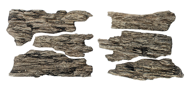 Shelf Rocks - Ready Rocks -- 4 Pieces-1