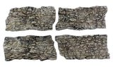 Rock Faces - Ready Rocks -- 4 Pieces-2