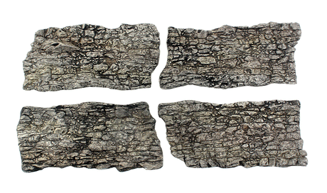 Rock Faces - Ready Rocks -- 4 Pieces-1