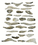Creek Bed Rocks - Ready Rocks -- 31 Pieces-1