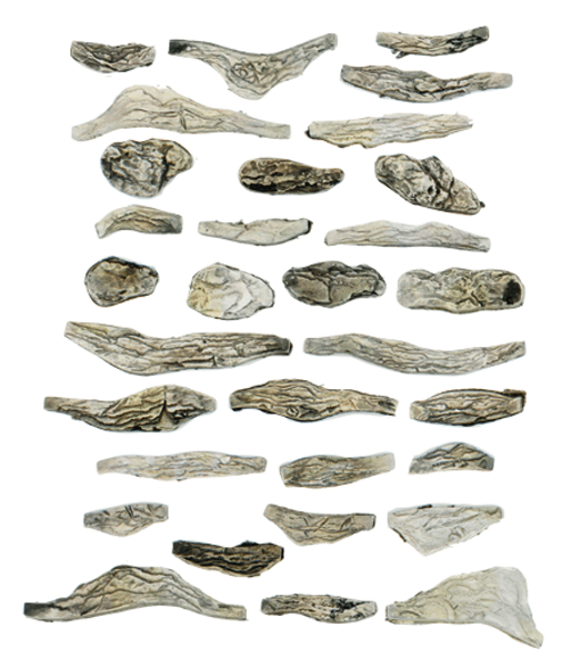 Creek Bed Rocks - Ready Rocks -- 31 Pieces-1