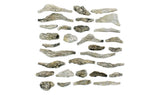 Creek Bed Rocks - Ready Rocks -- 31 Pieces-2