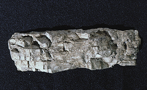 Rock Molds -- Facet Rock