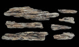 Shelf Rock Mold-2
