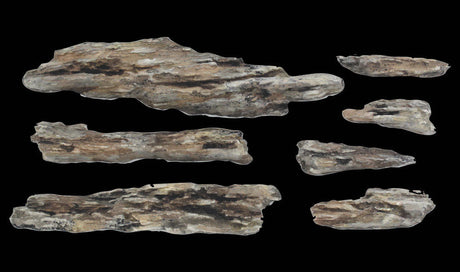 Shelf Rock Mold-2