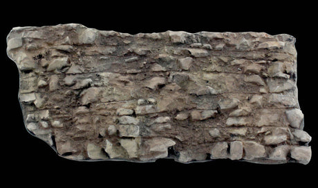 Rock Mold -- Rock Face-2